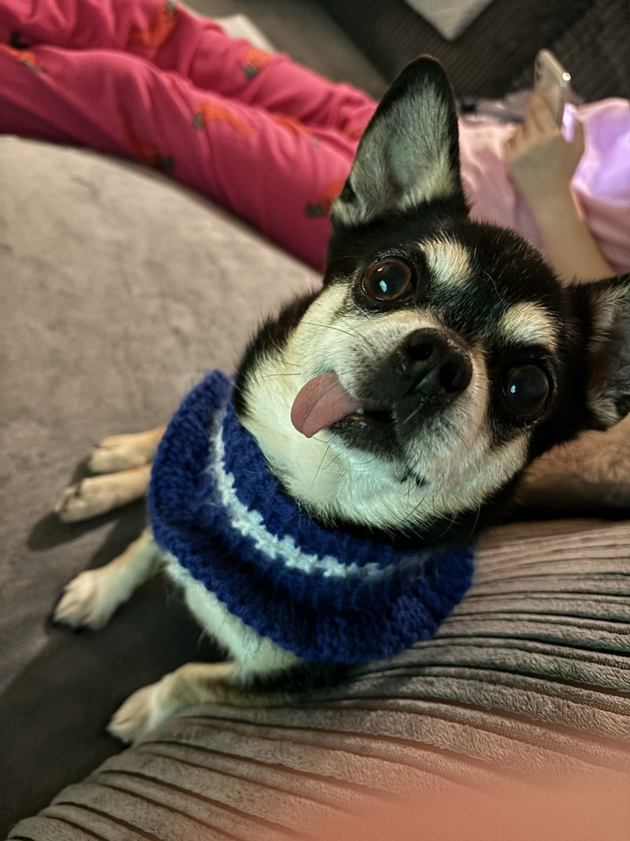 Thank you <a href="/Falmouth_Town/">Falmouth Town FC</a> for this what a great day. 💙blue army <a href="/Thatcham_TownFC/">Thatcham Town FC</a>