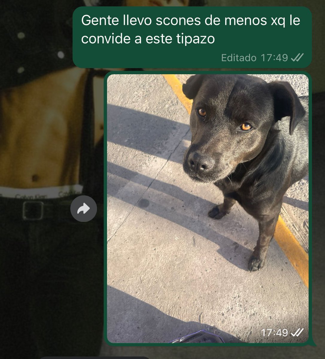 likidsmooth's tweet photo. hice unos scones para picar con mis amigos pero le termine convidando 3 a un perro que me pidió que en la parada del bondi https://t.co/Pxcx30sykM