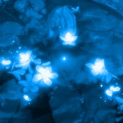 oneiricalien's tweet photo. 「💙」Blue . .⃗ .  binchan au ༉‧₊˚✧ . ˚ 
Changbin no necesitaba un alfa para ser fuerte. Chan quería a su omega para estar completo.

Pero los dioses son caprichosos y el destino impredecible, ¿qué pasará cuando crucen sus caminos bajo la misteriosa luz azul? https://t.co/qLcbey27xt