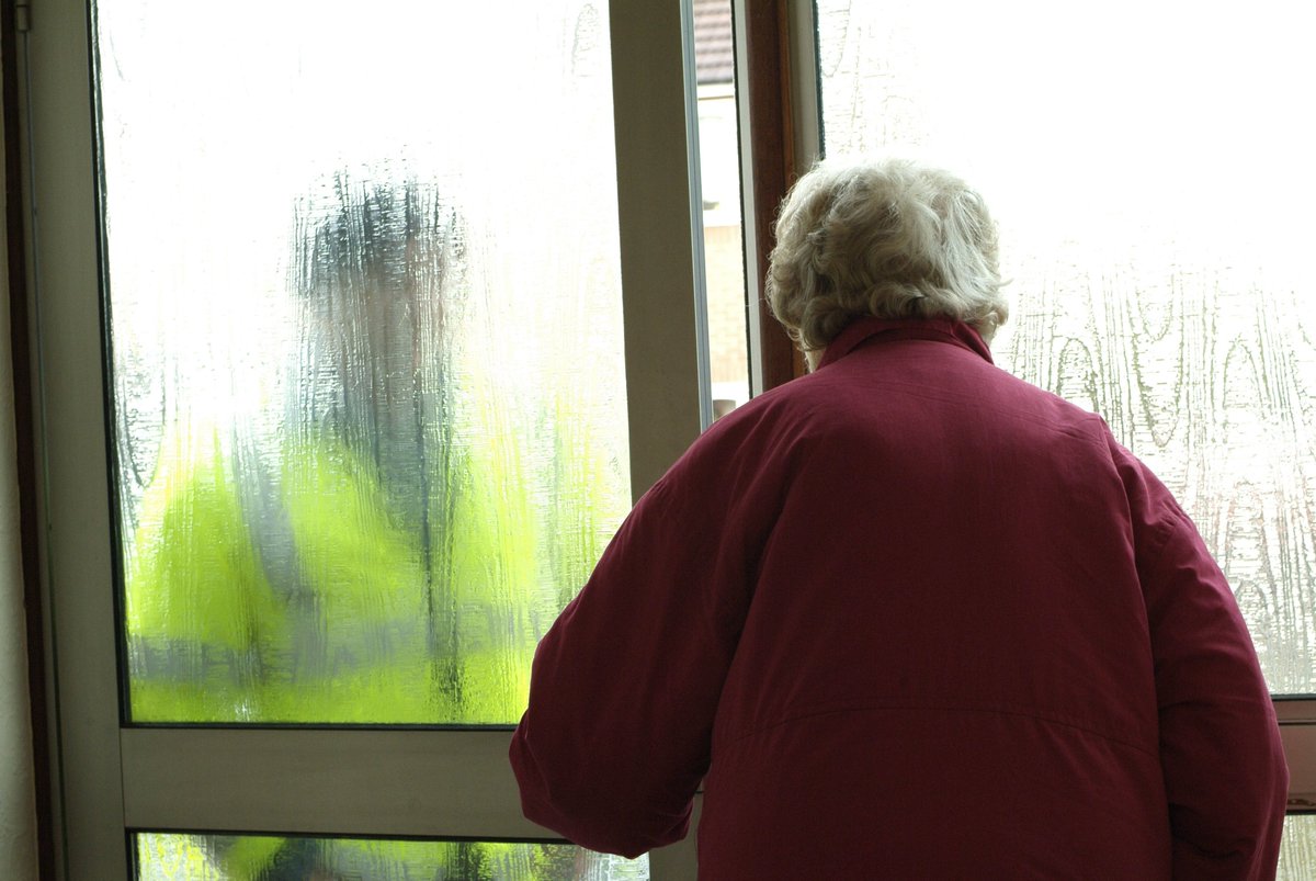 Camberwell SNT tweet media