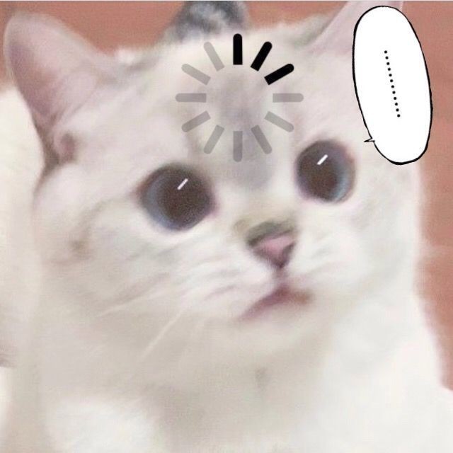 unyieldingwill_'s tweet photo. @randsuccessor 🛡️~Lady Bronya apa tidak mau tidur saja? https://t.co/cpGIsDganZ