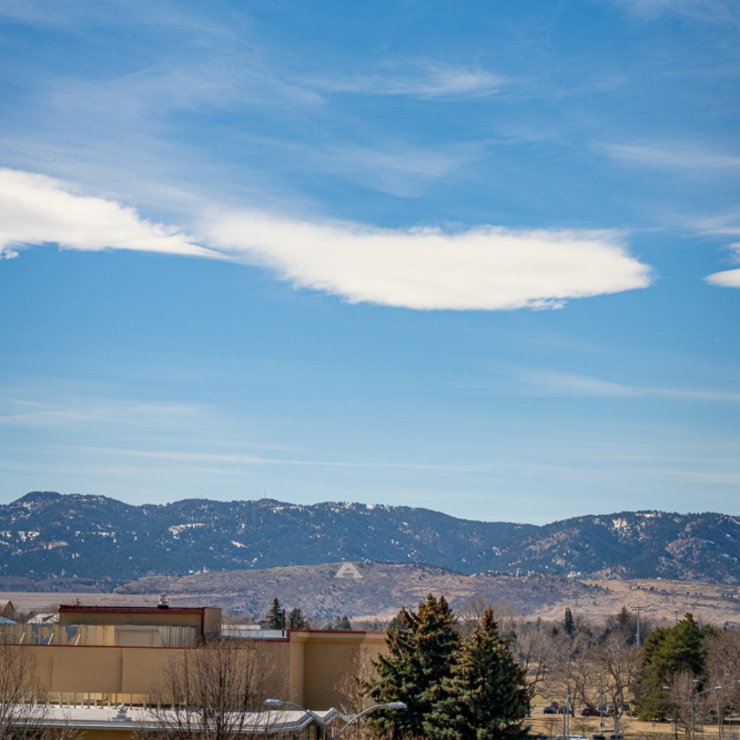 Colorado State University Online tweet media