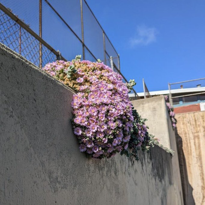 ruby_blushing's tweet image. my new single “This Must Not Be The Place” is out now! purchase on Bandcamp or stream wherever you stream tunes! #NewMusic #ruby