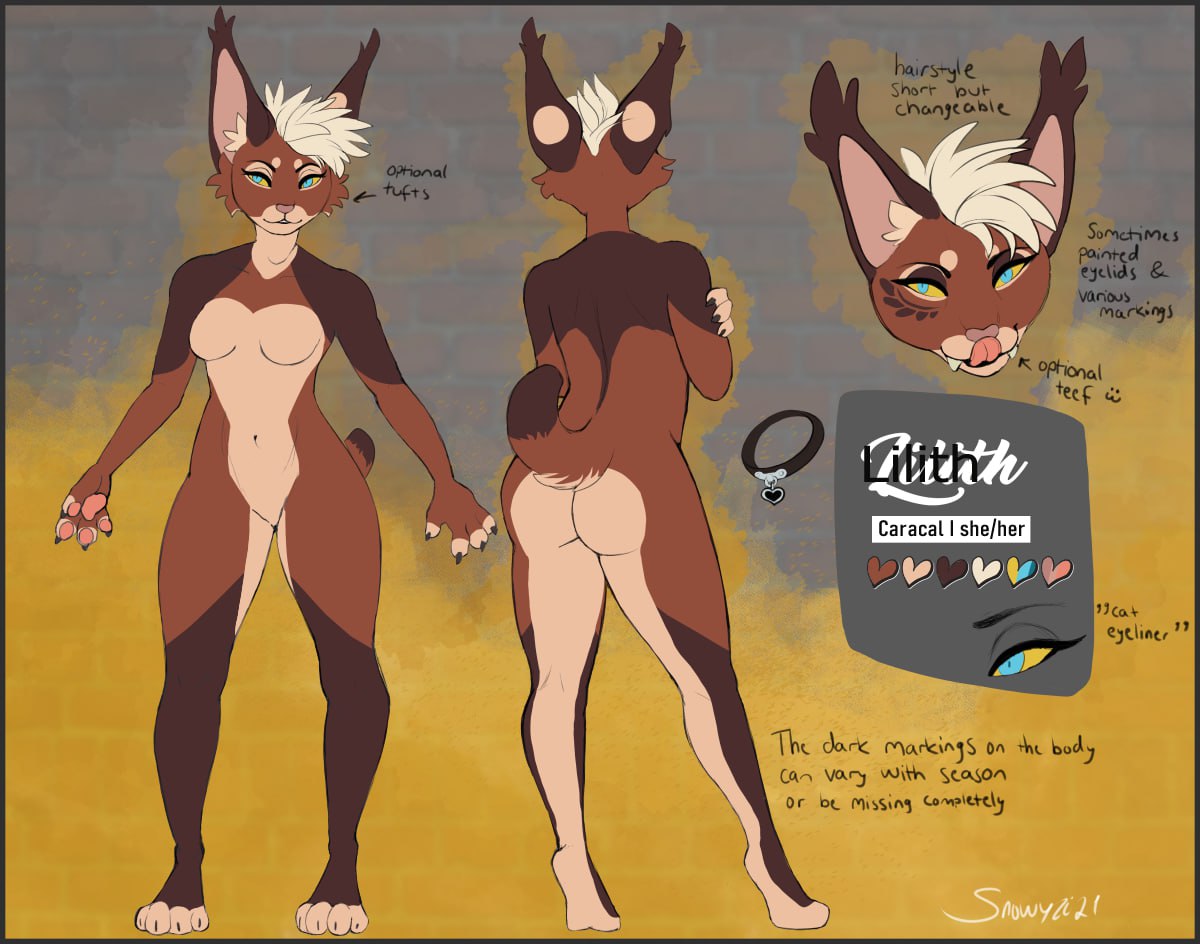 Lumi ✨ tweet media