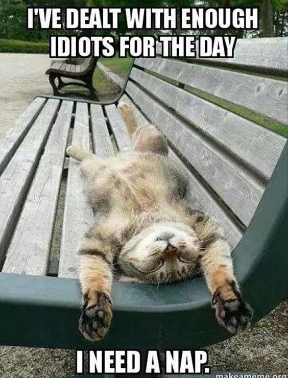 WholesomeMemes (@wholesomememe) on Twitter photo 