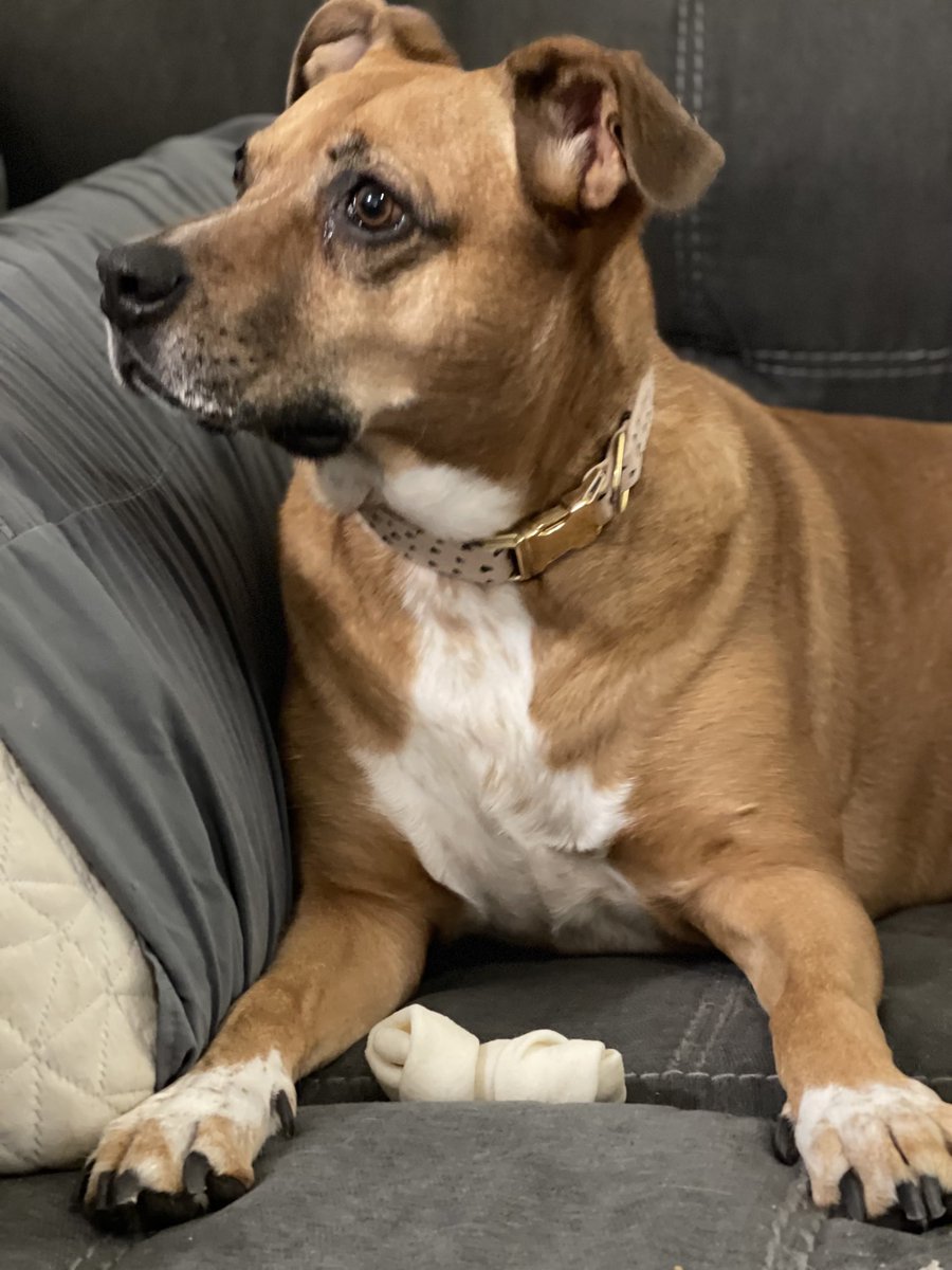 Probably wondering where I am