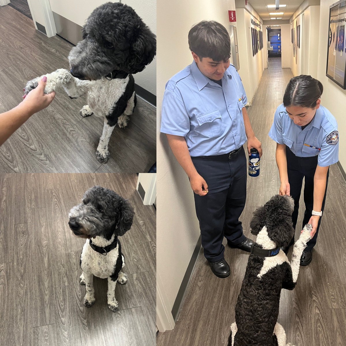 Albert greeting the PSA DHSHS Cadets before their shift in our Communications Center.
#DHSPD #DesertHotSpringsPolice