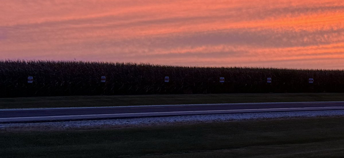 Cosner Family Ent. tweet media