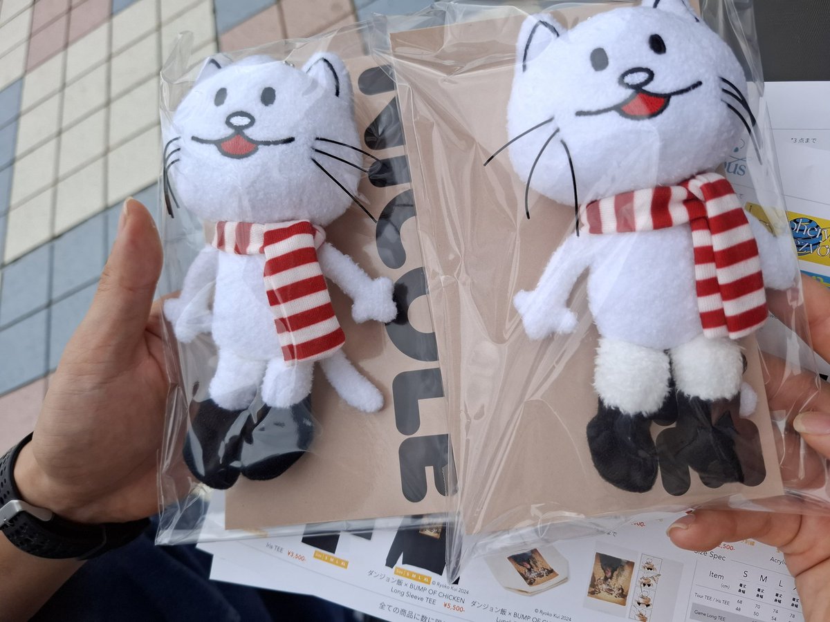 ニコル (@nicoru0529) / Posts / X