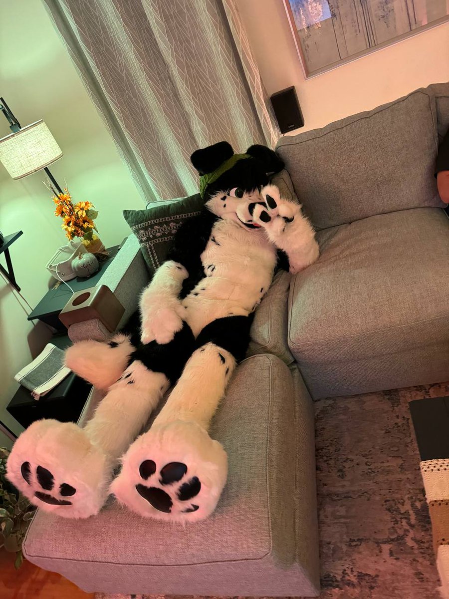Fursuit friday? Me? On the couch? It's more likely than you think 

📸 : @derrgSupreme