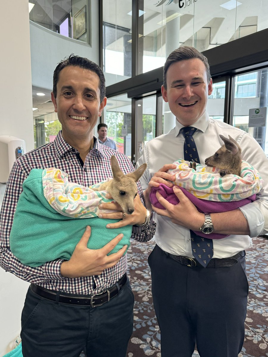 David Crisafulli (@davidcrisafulli) on Twitter photo Lala and Marshall approve of the Right Plan for Queensland’s Future. 🦘🦘
Today we’re proud to announce an LNP Government will deliver a new wildlife hospital in the Moreton Bay Region. Lala and Marshall approve of the Right Plan for Queensland’s Future. 🦘🦘
Today we’re proud to announce an LNP Government will deliver a new wildlife hospital in the Moreton Bay Region.
