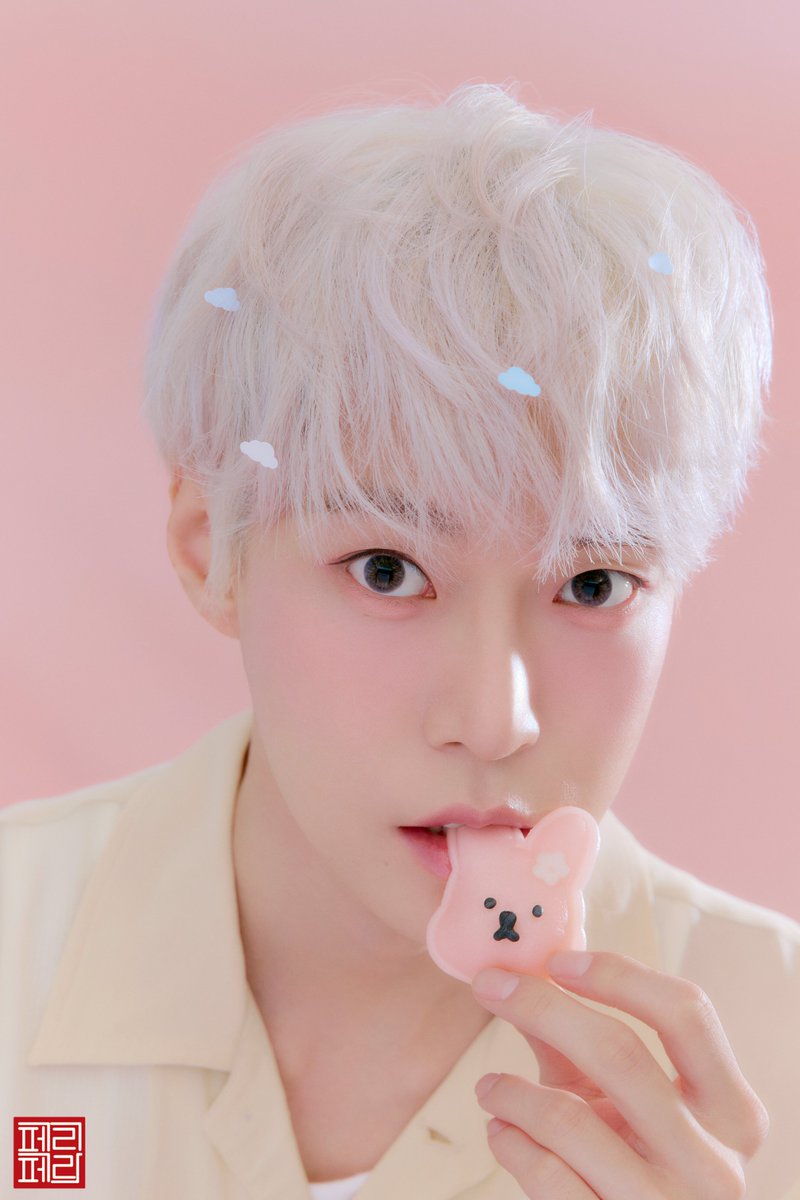 periperakr's tweet photo. 📂 페리페라
└📁 김페리
　└📁 토끼_3종_🐰
　　└⚠️ 귀여움_주의.peri

꽁꽁 숨겨둔 토끼3종 고화질 공개!

#NCT도영 https://t.co/e2gF8xJ7US