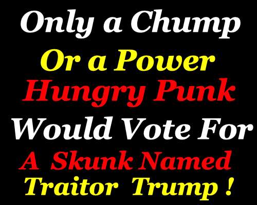 HowardPearlman9's tweet photo. A #Skunk, #A_Punk and a #PowerMad #TraitorNamedTrump are #VanceAndDonnieTrump ! Wake Up America and send #TrumpAndVanceToTheShowers ! https://t.co/Mc1nviBsGw
