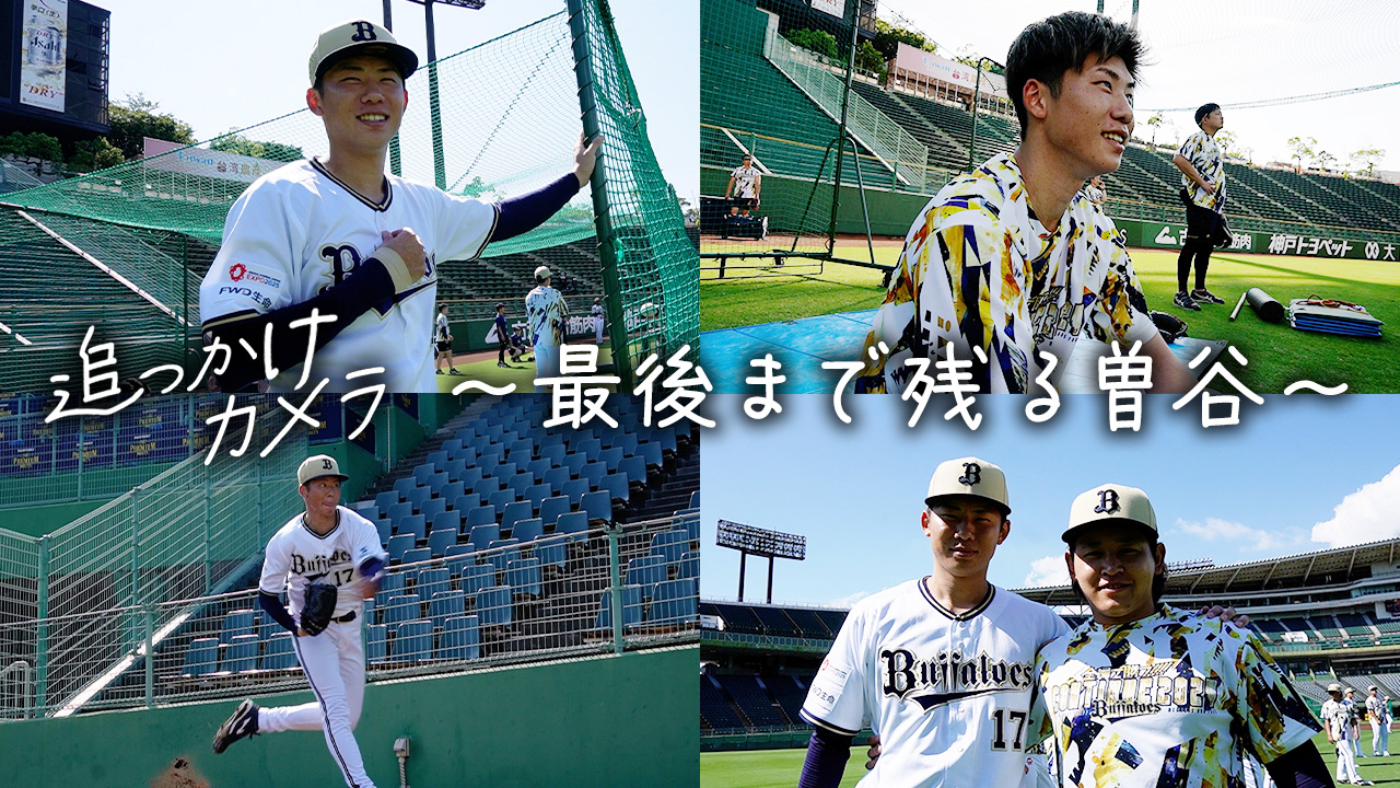 オリックス・バファローズ on X: 