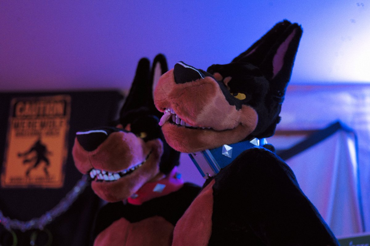WeScar - LOV (@dabuttlion) on Twitter photo Well vid shoot didn't quite go as planned but that's ok <3 still got some good content to share for #fursuitfriday
Roscoe - <a href="/PyrussPeets/">Pyruss</a>
DeSoto - <a href="/Dabuttlion/">WeScar - LOV</a>
📸 <a href="/Blue_The_Shiba/">Blue_The_Shiba</a> Well vid shoot didn't quite go as planned but that's ok <3 still got some good content to share for #fursuitfriday
Roscoe - <a href="/PyrussPeets/">Pyruss</a>
DeSoto - <a href="/Dabuttlion/">WeScar - LOV</a>
📸 <a href="/Blue_The_Shiba/">Blue_The_Shiba</a>