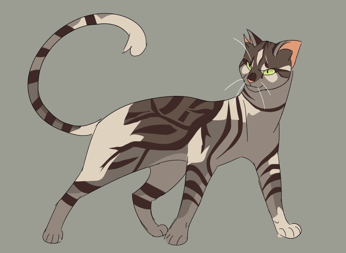 ledoodlebuge's tweet image. quick cat designs