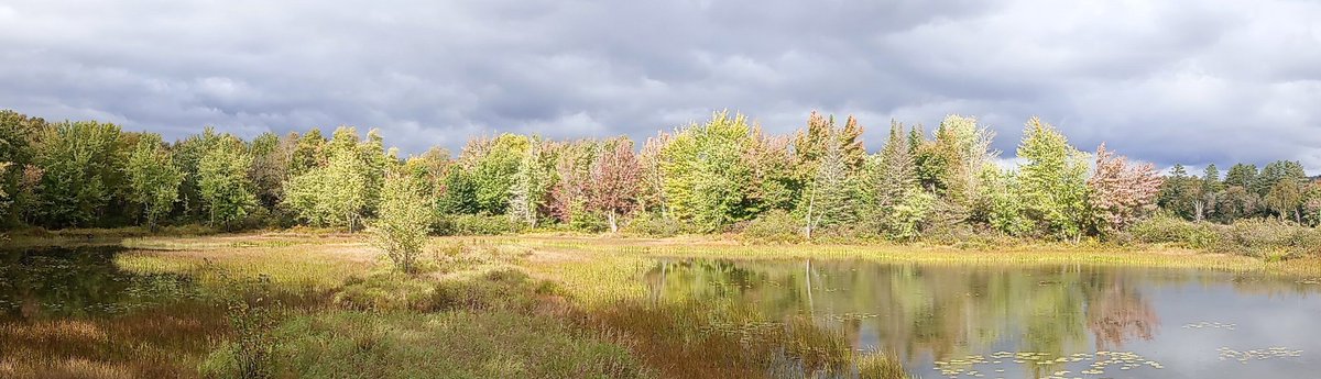 Martin Pitt tweet media