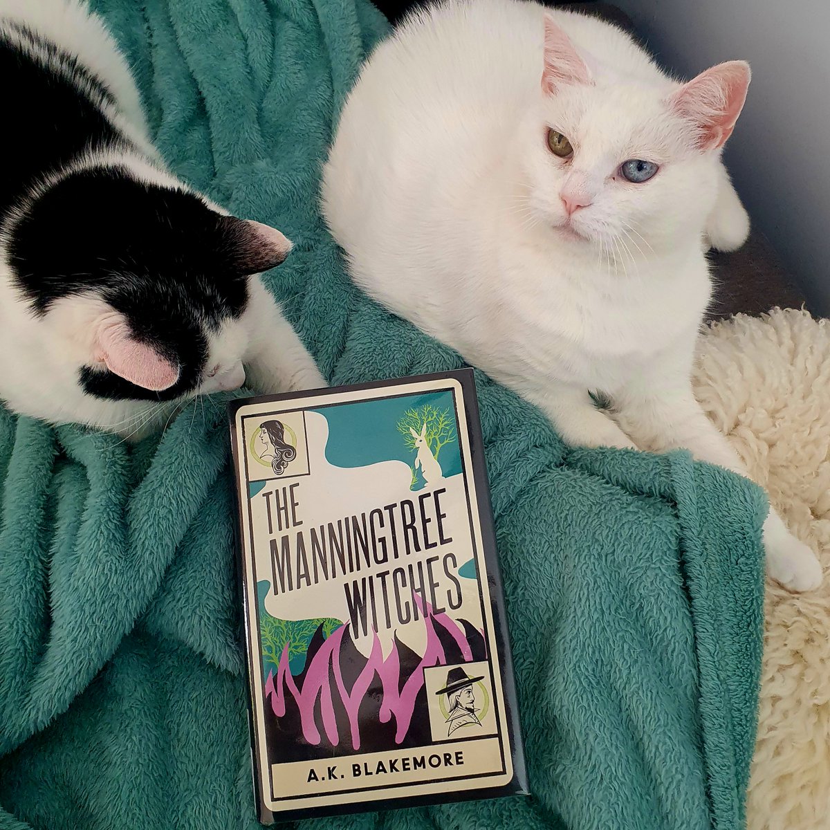 The Manningtree Witches by A.K. Blakemore is a bewitching historical fiction novel set in 17th century puritanical England. It paints a striking picture of the Manningtree witch trials and the lives of the women who were accused of witchcraft.
wp.me/p5k577-1nC
#booktwt