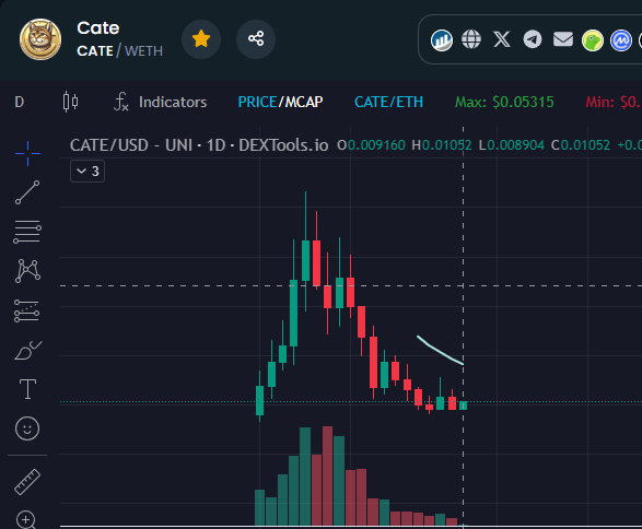 can $CATE recover? I am down %70 🥲