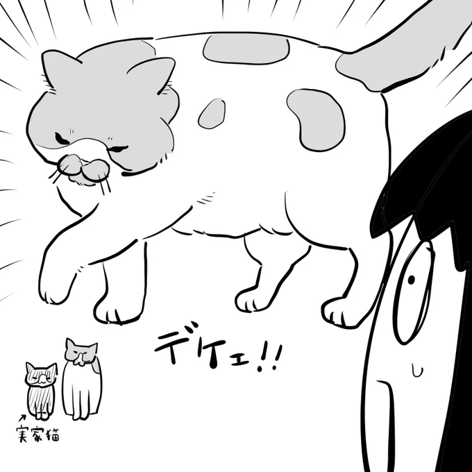 #逆襲の日記
一週間の帰省から帰宅
飯を食べなかった猫も回復して400グラム増えてた。
すごく心配したけどめちゃくちゃデカくなった
よかったです。 