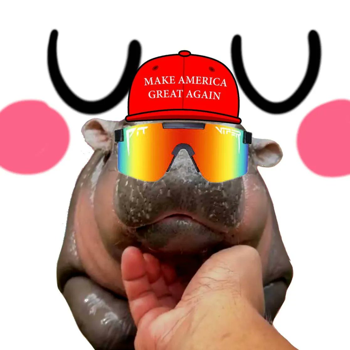 WL MINT LIVE
launchmynft.io/sol/8562

PUBLIC STARTS IN 15 MINS