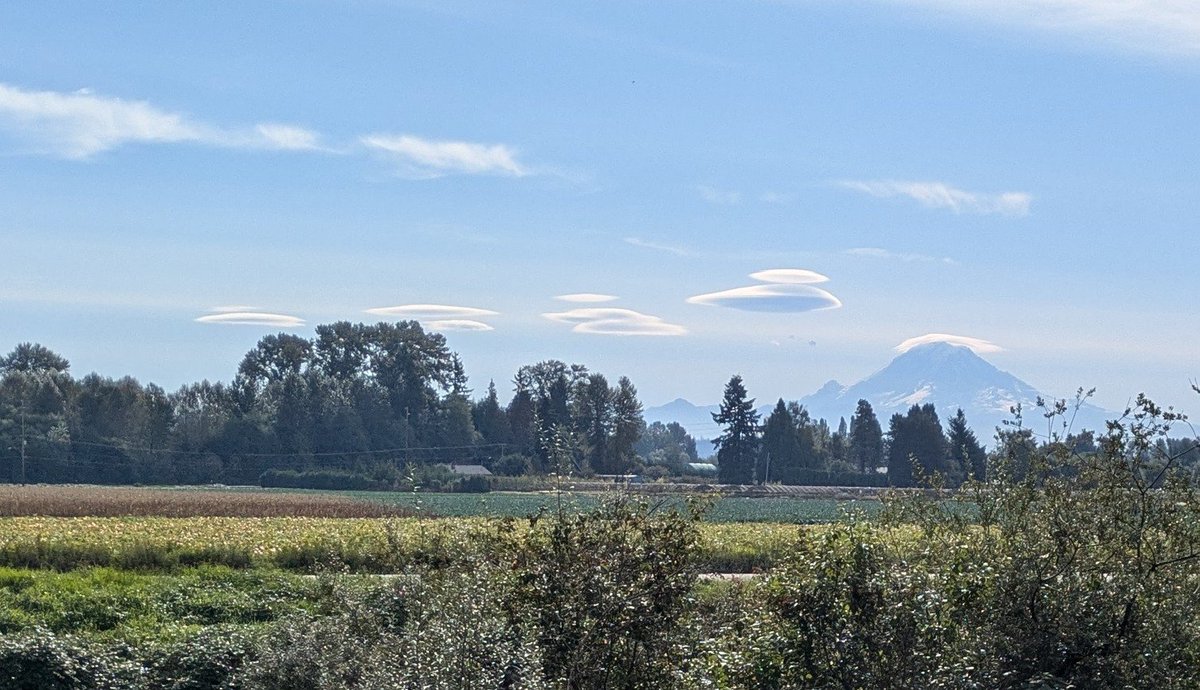TheGsus's tweet photo. @KSeattleWeather what's going on here.... @MountRainierWA can't find a hat that fits? https://t.co/W2HIhCluF6
