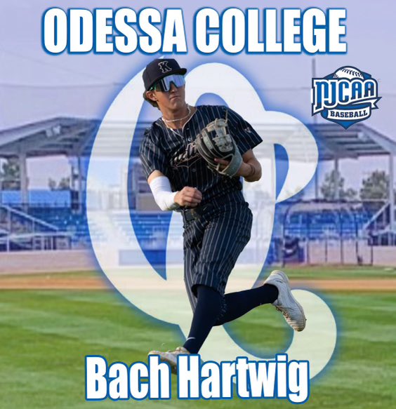 Bach Hartwig tweet media