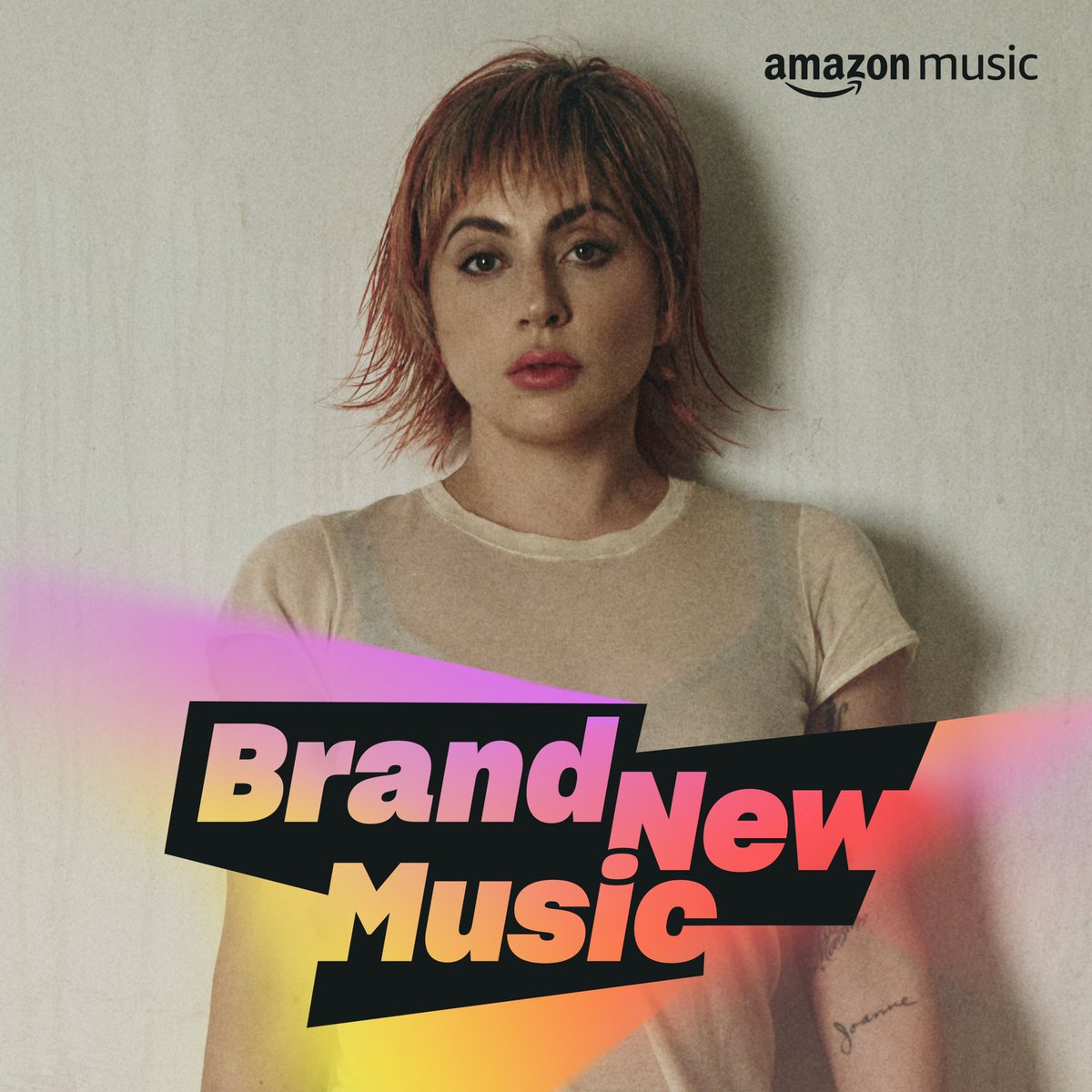 Lady Gaga tweet media