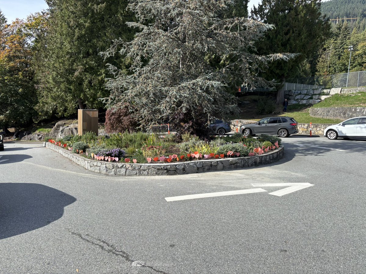 Scott Slater tweet media