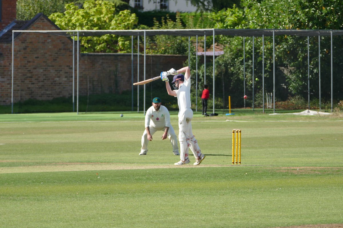 Cricket