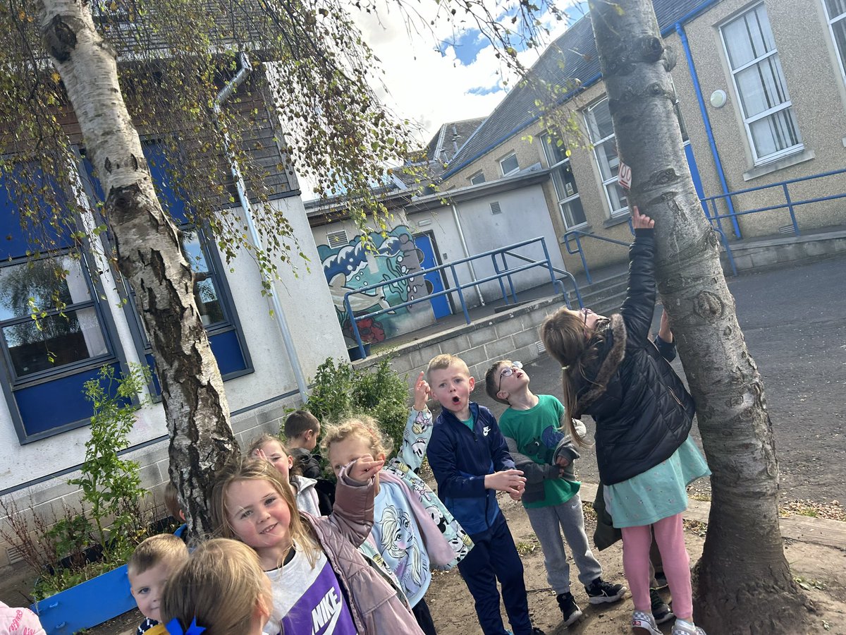 MrsGallAPS's tweet photo. Maths week Scotland was a focus in P1! We went on a number hunt and smashed our counting from 0-20 time of 47 seconds to just 15 🥳 We met Jan the lollipop lady and asked her questions. In PE we worked on our listening skills and some were very creative during play @airthprimary https://t.co/hjFaIRU04o