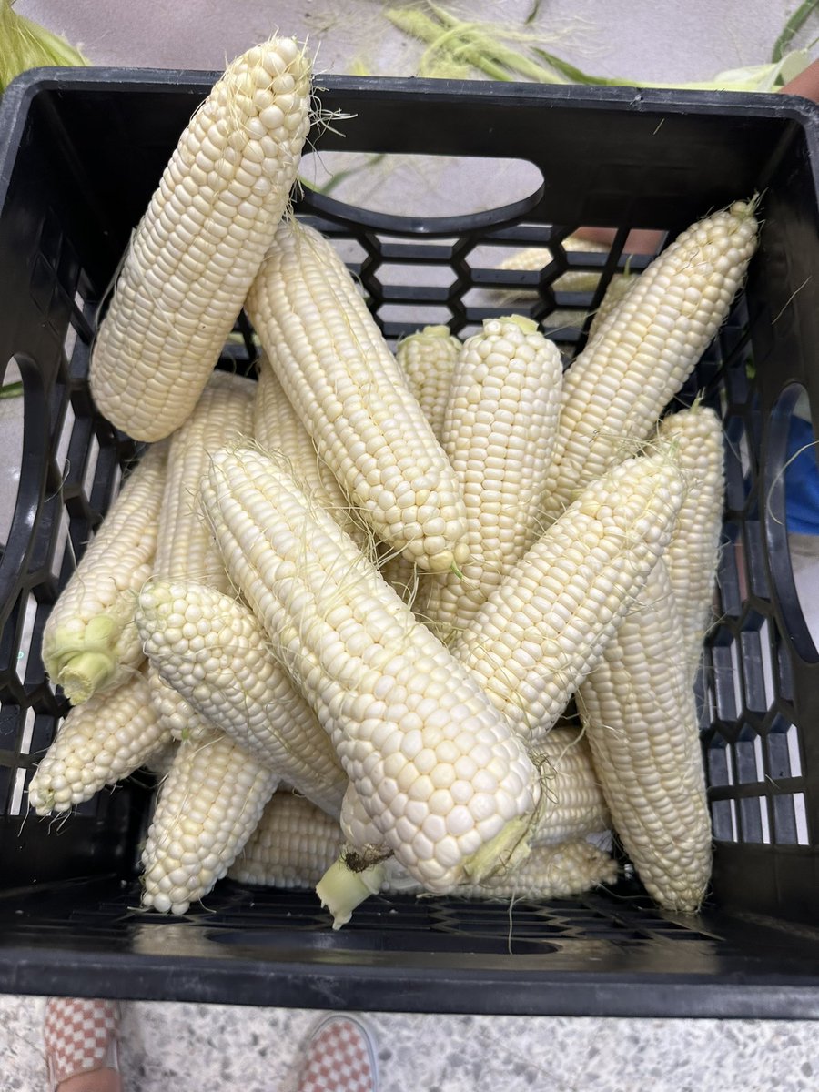 Aww, shucks! Thank you, 2nd Grade Stars, for helping shuck many ears of corn today! The corn, from a local farm, will be served during Monday’s lunch! #FarmToTable #LSESuperStars #LeadingLinton <a href="/CCPSk12/">Carroll County PS</a> <a href="/Carrollk12Food/">Carrollk12_Food Services</a>