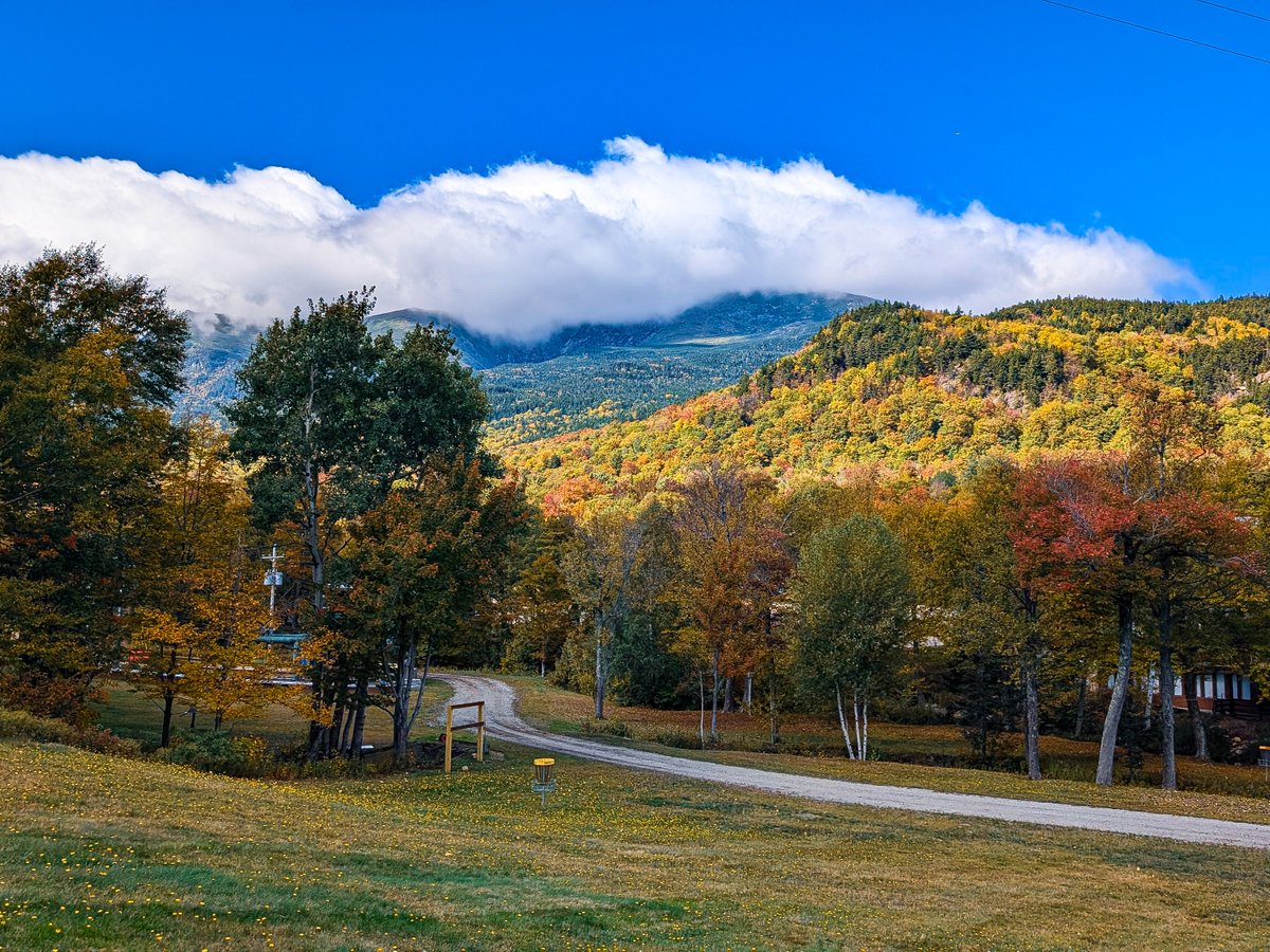 Wildcat Mountain tweet media