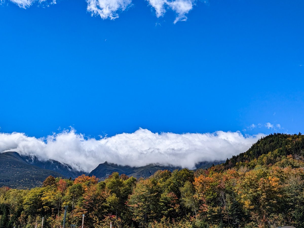 Wildcat Mountain tweet media