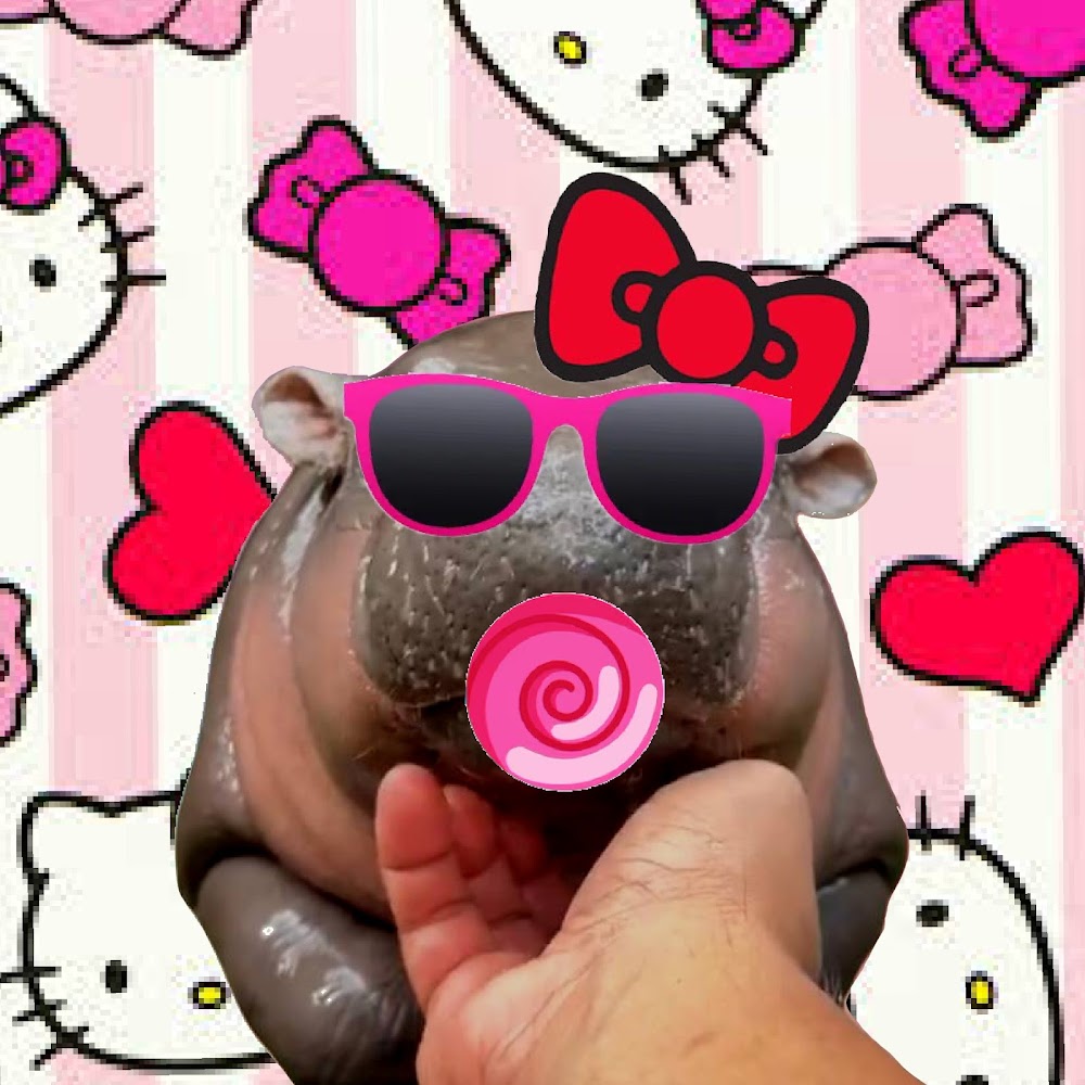 <a href="/Moodengnft/">Moodeng</a>