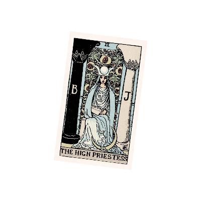 ‍ ‍𝕮𝑰𝑹𝑪𝑬‍‍‍ ‍ ‍𓃟‍ ‍ ‍ ‍ ‍ ‍ tweet media