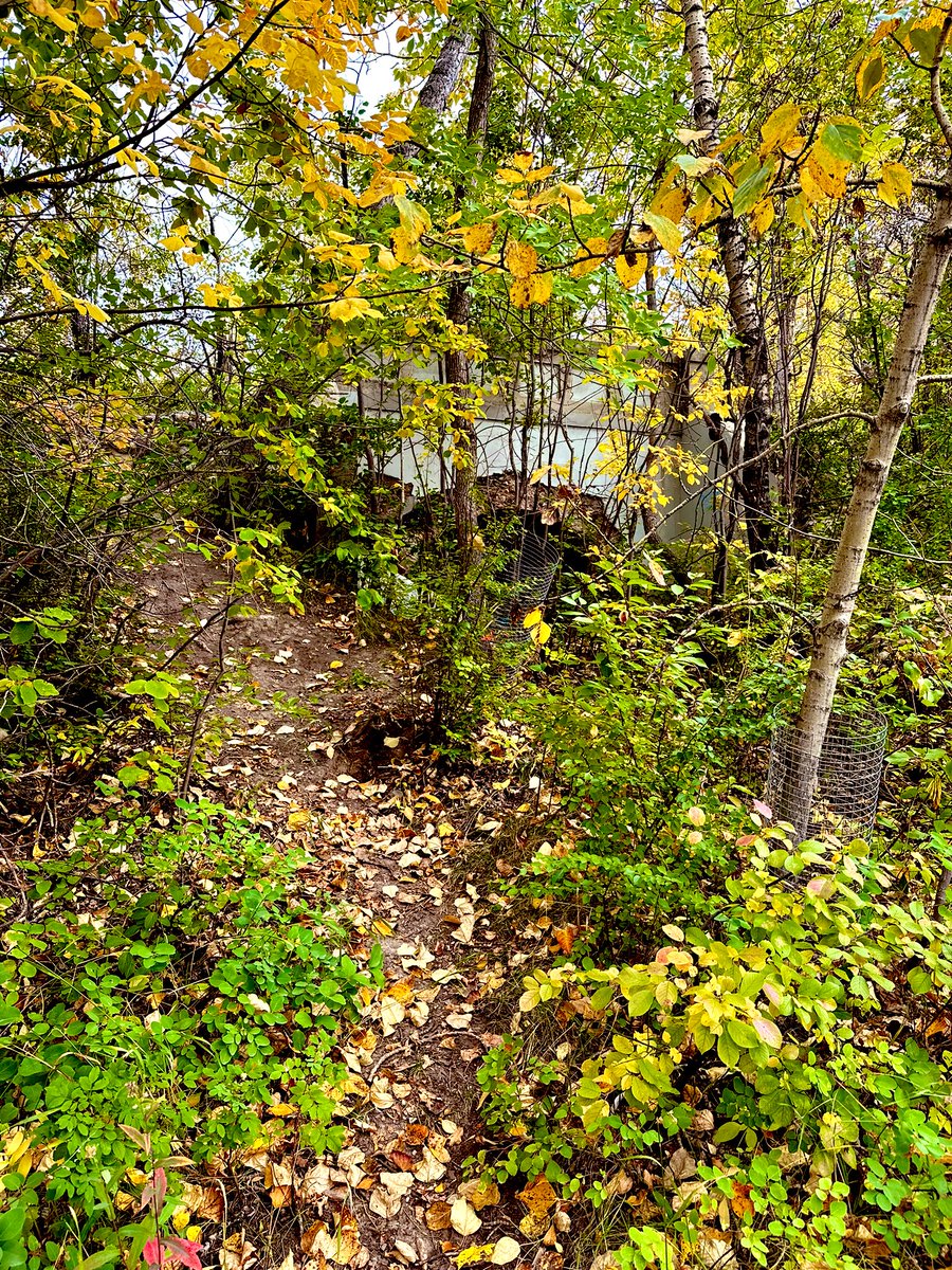 Aw(e), autumn! 🍂 

#YYC
