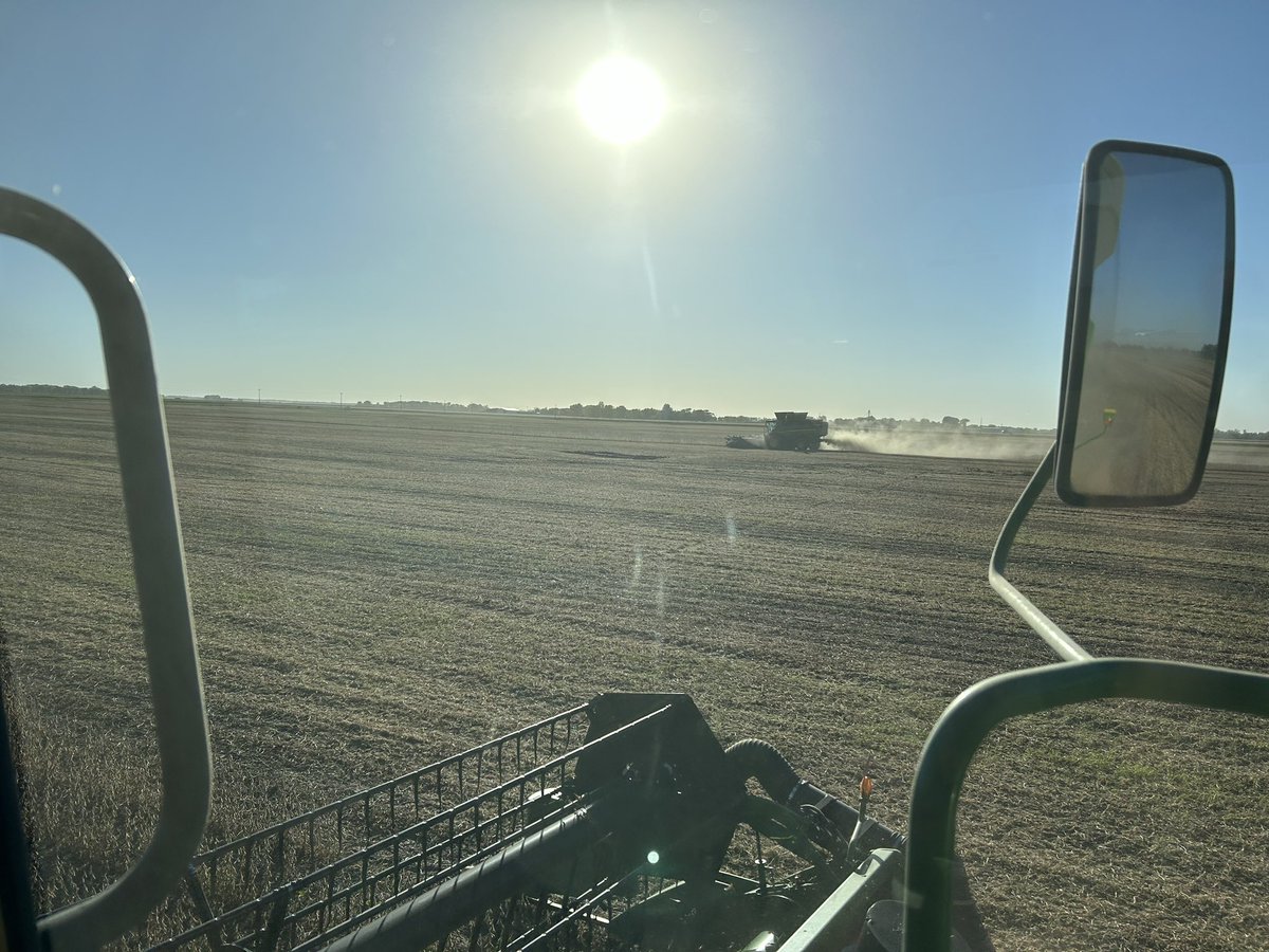 <a href="/Sevita_Int/">Sevita International</a> NEW SI00623XT seed production soys coming off this evening and yielding strong🌱 Definitely a variety to consider for next spring!