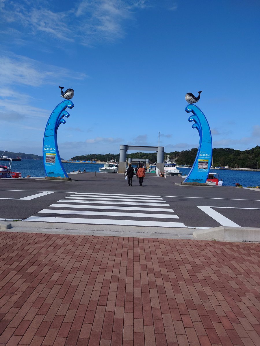 fortune330101's tweet photo. 御一行様に出遅れて２回目の参拝へ

いつ行くか検討しながら
例年通り９月下旬に…

波が去年より高く揺れが激しく､欠航になる事もあるような話しもしていたので行くタイミングを考慮しなくては

前回､パイセン方に教えてもらったankoya は間に合わず､牛タン焼… 司 でタンシチューなど食べ満喫｡ https://t.co/bkZEK7H6Hj