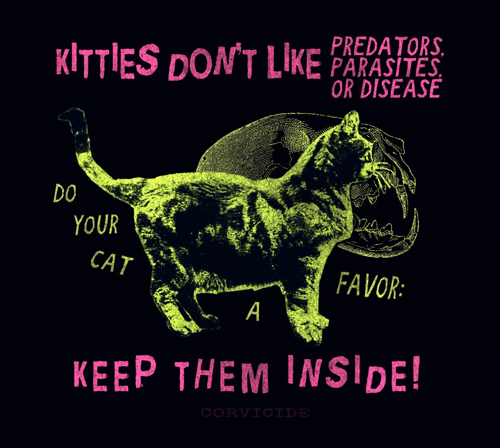 KEEP UR FELINE FRIENDS SAFE