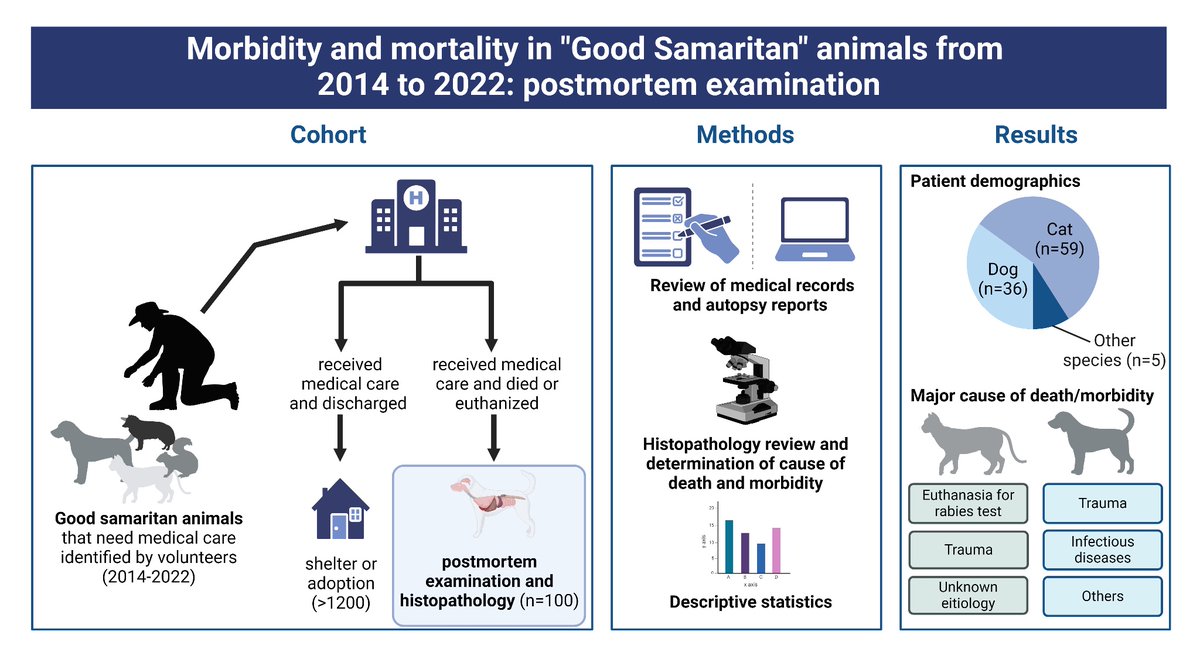 Yea Ji Jeong (@yeajijeong) on Twitter photo My passion project from residency is finally published on the Journal of Shelter Medicine and Community Health!
Special thanks to <a href="/OSUVetCollege/">OhioStateVetCollege</a> Veterinary medical center and Anatomic pathology service who made this project possible. My passion project from residency is finally published on the Journal of Shelter Medicine and Community Health!
Special thanks to <a href="/OSUVetCollege/">OhioStateVetCollege</a> Veterinary medical center and Anatomic pathology service who made this project possible.