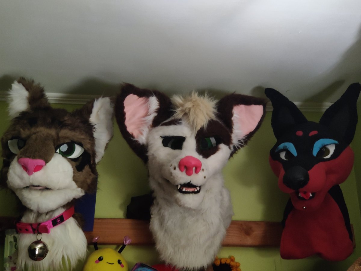 Tuna (Banjo Heeler)🔜Anthrocon tweet media