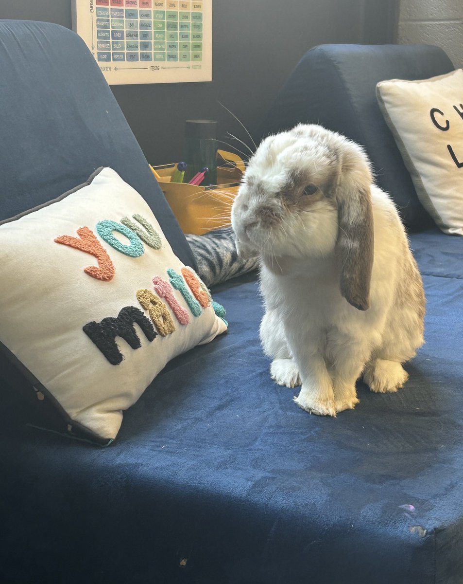 Once a Laker, always a Laker! 💚 #onlywb