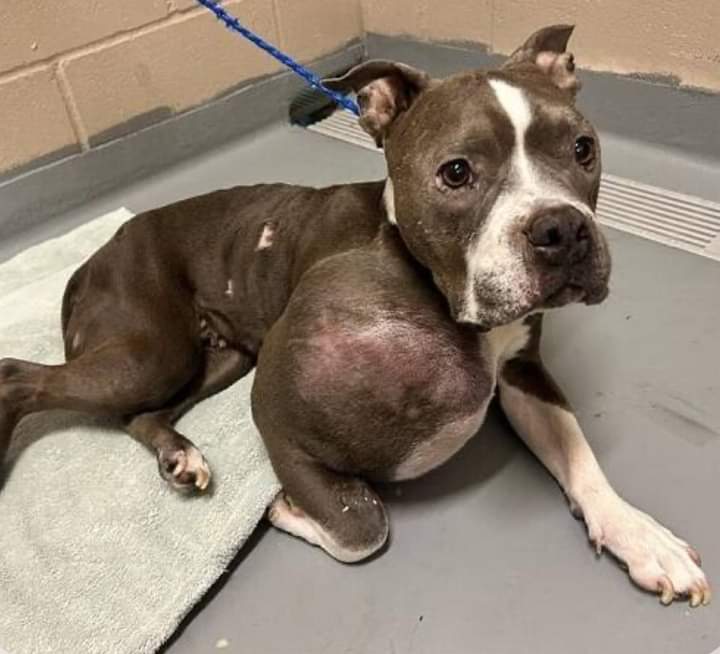 I Am Very Sick Please Pray For Me 💔😢