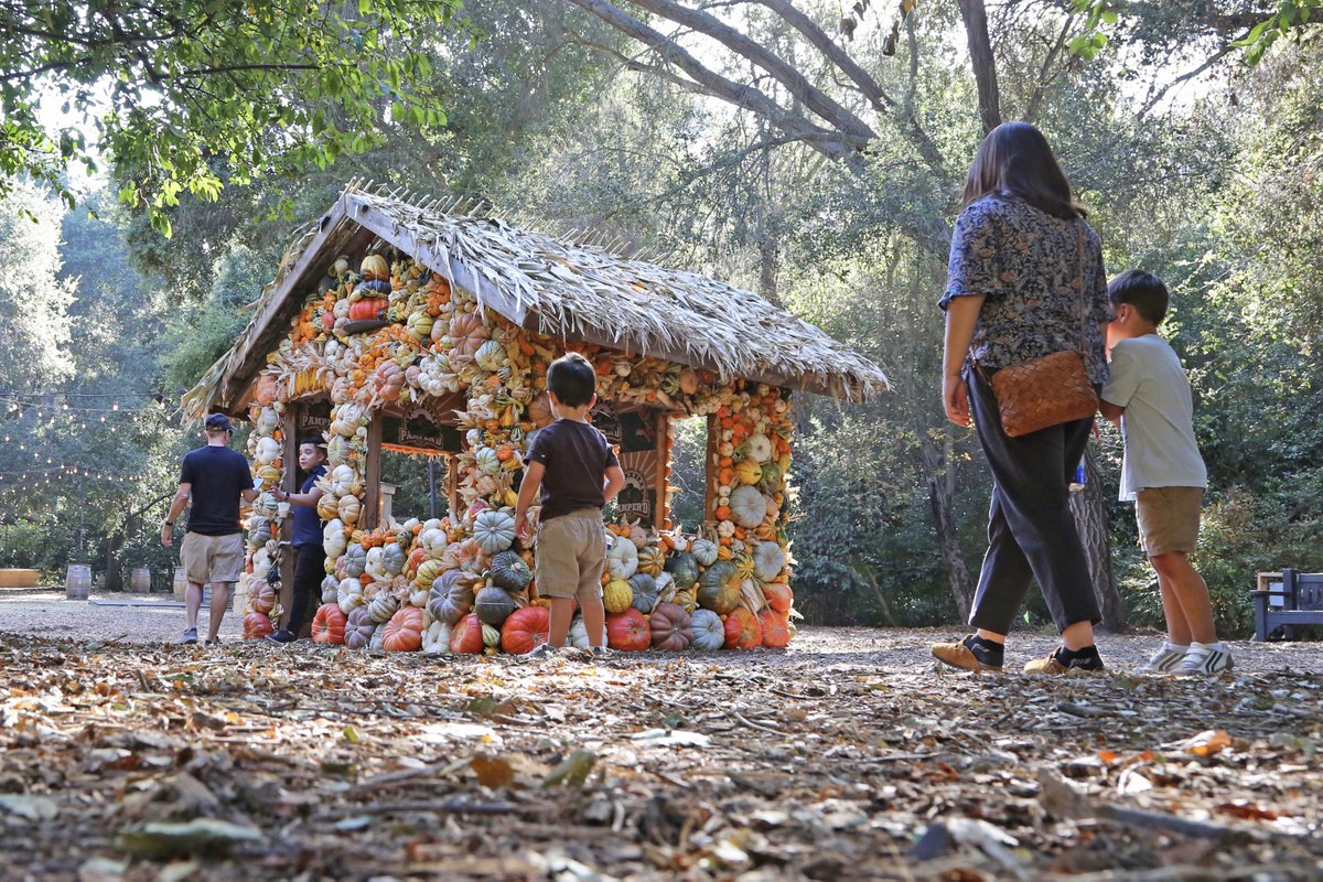 Just call us Descanso Gourd-ens 🎃 The #PumpkinHouse is here! Built by our talented staff and volunteers, you can find this delightful installation on the Main Lawn.

Entry to the Pumpkin House is included in admission or membership. Our daytime hours are 9am–5pm.