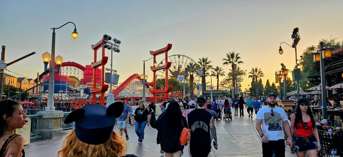 Chris Woolum tweet media