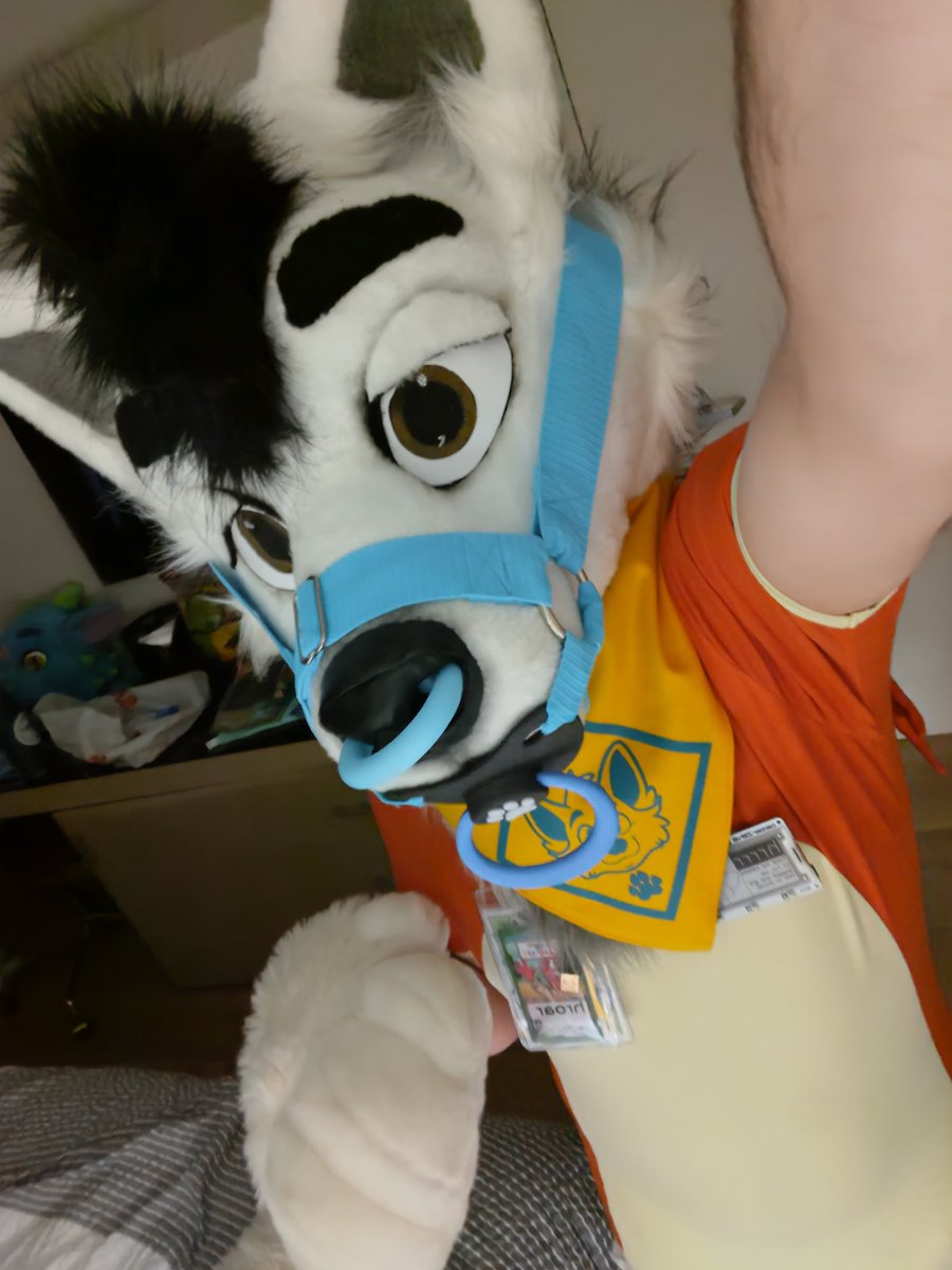 hroarDog's tweet photo. Baby on main #FursuitFriday #BFC24 https://t.co/fTZKfD1AsL