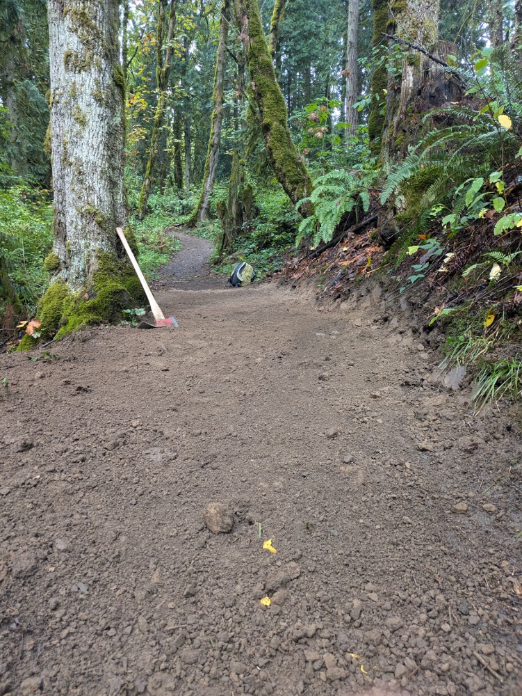 rebecca_lexa's tweet photo. Pictures from the #trail I leveled while #volunteering at #TryonCreek State Natural Area this morning. Higher side was a foot taller than the lower in some places! #TrailCrew #TrailMaintenance #hiking #Oregon #PNW #PacificNorthwest #outdoors https://t.co/Ii3lHZ4Qxx