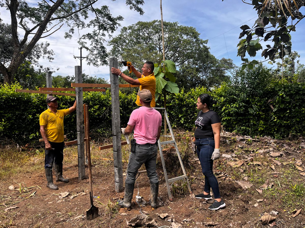 ¡La emoción de construir juntos nuevos hogares para las abejas nativas! 🐝🍯🪷 Miel, polinización, empleos y colaboración son algunos de los frutos que brindará a la comunidad la línea apícola en Arauca. #abejasnativas #apicultura