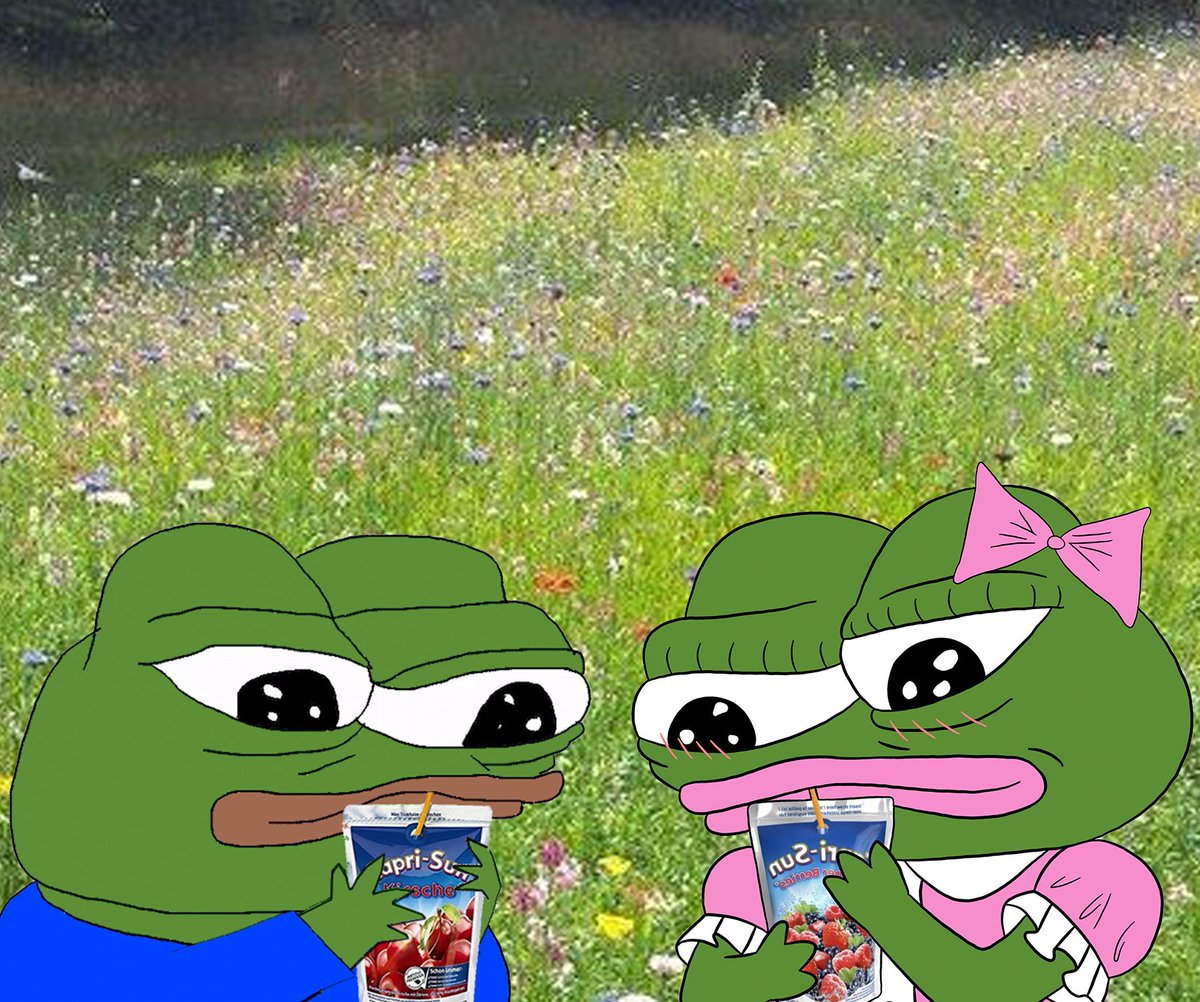 CousinSprinkle's tweet photo. @lilcalfmuscle @sonder_crypto https://t.co/q6SRxMgkFH